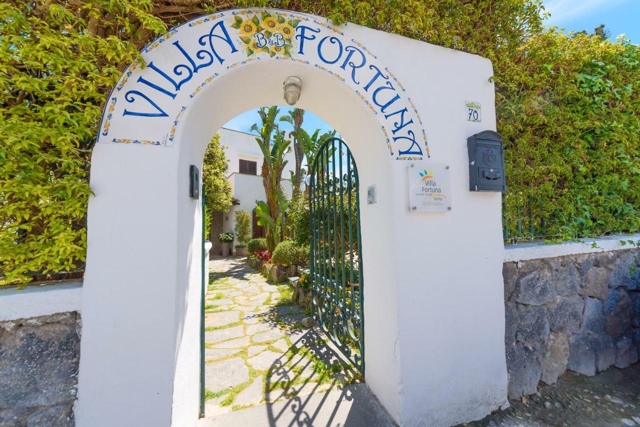 Villa Fortuna Holiday Resort Ischia Exteriör bild